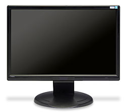 19 inch. Widescreen Color VGA Monitor