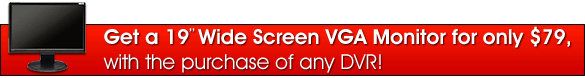 19'' LCD Monitor for only $79