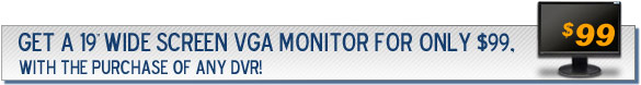 19'' LCD Monitor for only $99