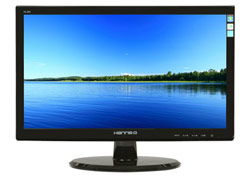 20 inch. Widescreen Color VGA Monitor